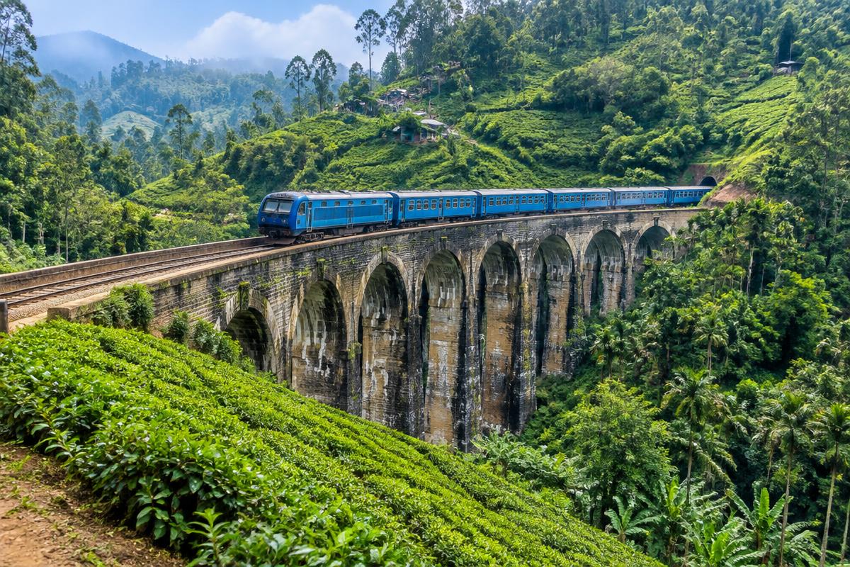 Sri Lanka Discovery